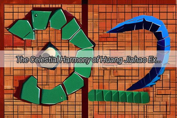 The Celestial Harmony of Huang Jiahao Exploring the Five Elements Within a Stars Life Journey